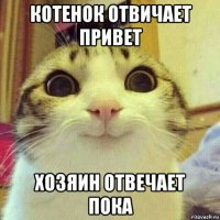 котенок отвичает привет хозяин отвечает пока