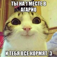 ты на 1 месте в агарио и тебя все кормят :3