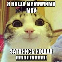 я няша мимимими мяу заткнись кошак !!!!!!!!!!!!!!!!!!!!