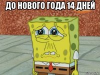 до нового года 14 дней 