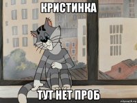 кристинка тут нет проб