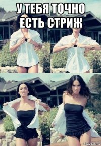 у тебя точно есть стриж 