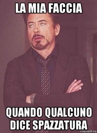 la mia faccia quando qualcuno dice spazzatura