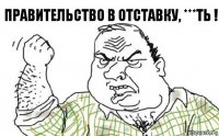 Правительство в отставку, ***ть !