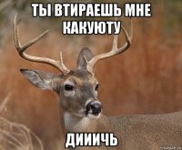 ты втираешь мне какуюту дииичь