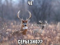 че серьезно??