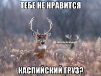 тебе не нравится каспийский груз?