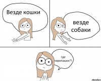 Везде кошки везде собаки где черепашки?!