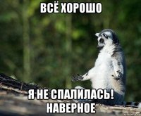 всё хорошо я не спалилась! наверное