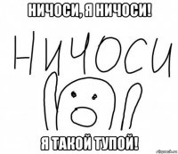 ничоси, я ничоси! я такой тупой!