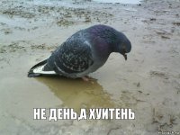 Не день,а хуитень