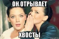 он отрывает хвосты