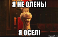 я не олень! я осел!