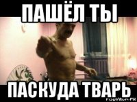 пашёл ты паскуда тварь