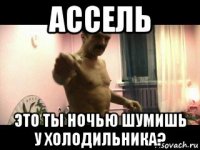 ассель это ты ночью шумишь у холодильника?