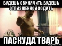 будешь свинячить,будешь отпизженной ходить паскуда тварь