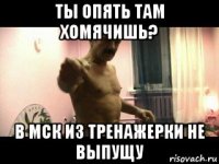 ты опять там хомячишь? в мск из тренажерки не выпущу