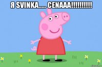 я svinka..... cenaaa!!!!!!!!!! 