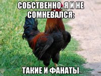 собственно, я и не сомневался: такие и фанаты