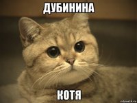 дубинина котя