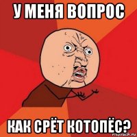 у меня вопрос как срёт котопёс?