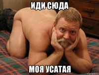 иди сюда моя усатая