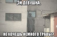 эй девушка не хочешь немного травы?