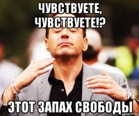 чувствуете, чувствуете!? этот запах свободы