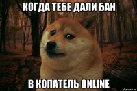 когда тебе дали бан в копатель online