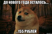 до нового года осталось.... ...155 рублей