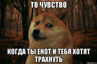 то чувство когда ты енот и тебя хотят трахнуть