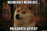 неужели у меня нет... ни одного друга?