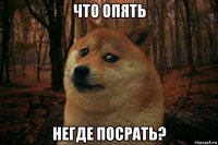 что опять негде посрать?