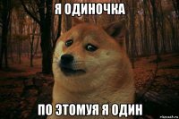 я одиночка по этомуя я один