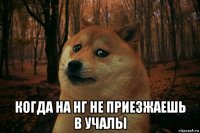  когда на нг не приезжаешь в учалы