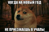 когда на новый год не приезжаешь в учалы