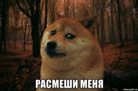  расмеши меня