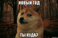 новый год ты куда?