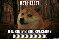 нет неееет в школу в воскресение ((((((((((((((((((((((((((