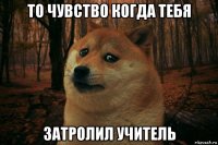 то чувство когда тебя затролил учитель