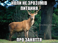 коли не зрозумів питання про заняття