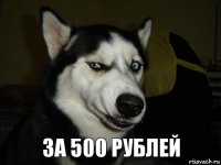 за 500 рублей