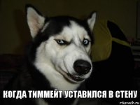 когда тиммейт уставился в стену