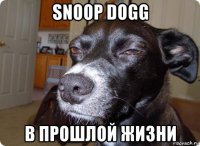 snoop dogg в прошлой жизни