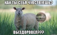 как ты себя чувствуешь? выздоровел???