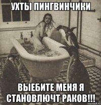 ухты пингвинчики выебите меня я становлючт раков!!!