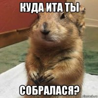 куда ита ты собралася?