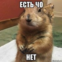 есть чо нет