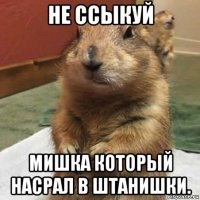 не ссыкуй мишка который насрал в штанишки.