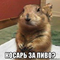  косарь за пиво?